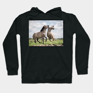 The Mane Event Hoodie